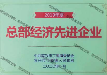 19經(jīng)濟先進(jìn)企業(yè)